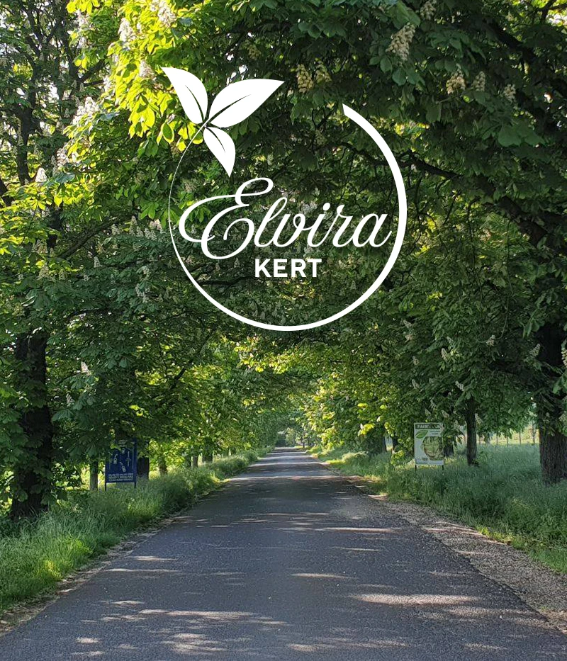 elvirakert_rolunk_v1